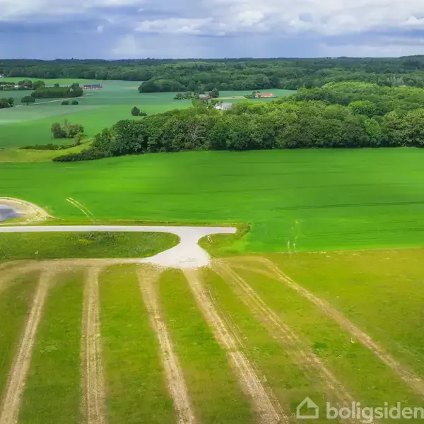 Grønt markområde med parallelle linjer af græs ses fra luften. Boliger er opstillet nær venstre kant. Længere ude er der frodig skov og landskab under en overskyet himmel.