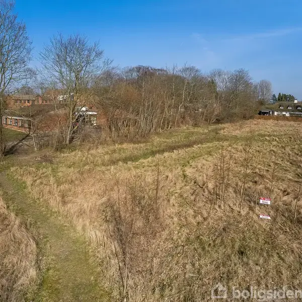 Græsareal med stier og spredte træer omkranset af huse i baggrunden. To skilte står ved stien i højre side af billedet.
