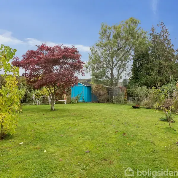 En grøn have med en blå skur i baggrunden. Centralt står et træ med røde blade. Haven er omgivet af forskellige træer og buske under en klar blå himmel.