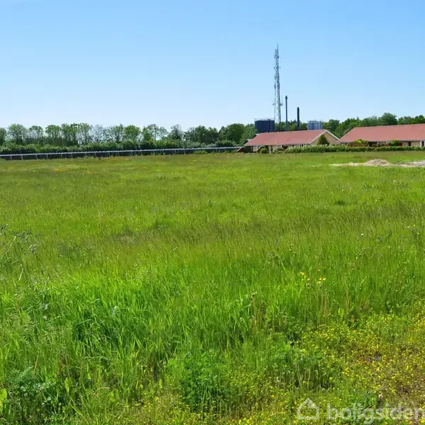 Grøn mark breder sig ud i landskabet, med græs og vilde blomster i forgrunden. I baggrunden ses lave bygninger med røde tage og en mobilmast. Træer danner en horisontlinje.
