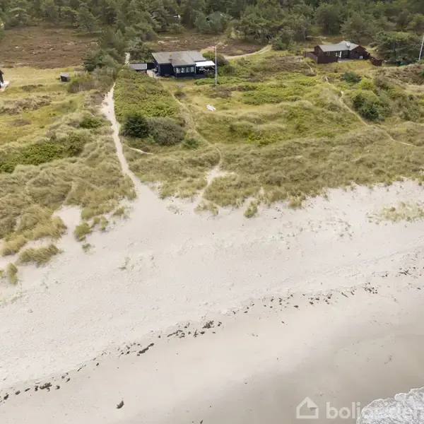 Strand med lys sand og små planter grænser op til grøn klitbevoksning. I baggrunden ses et hus blandt buske, med stier gennem klitterne førende til stranden.