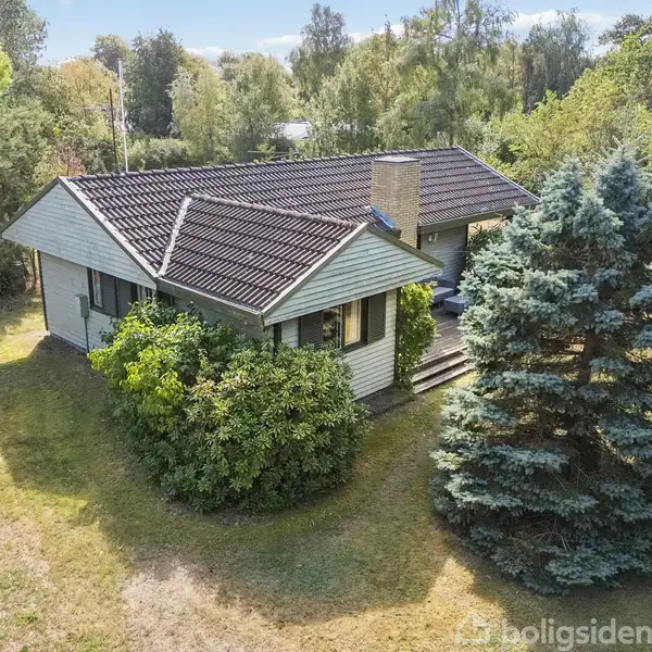 Et lille, gråt hus med sort tag ligger i en grøn have, omgivet af høje træer og buske. En stor nåletræ står ved siden af huset.