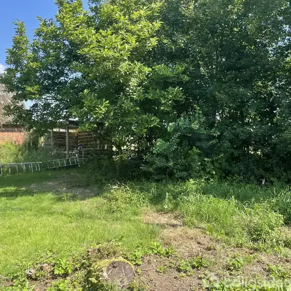 En have med grøn græsplæne og buske grænser op til et gammelt murstenhus med ødelagt tag og flere store træer. En stige ligger på jorden.