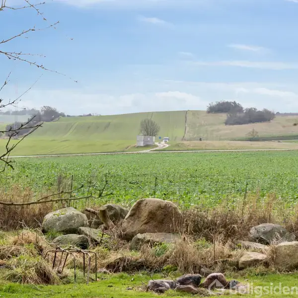 Store klippeblokke ligger roligt på en græsmark. En lang, snoet jordvej fører til en fjern hvid bygning på en grøn bakkekam under en lyseblå himmel. Enkelt træ til venstre.