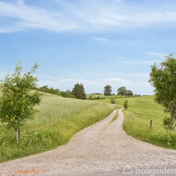 Grusvej snor sig gennem bølgende, grønne marker. To søjler med krukker markerer indkørslen. Skiltet lyder "Strandvejen 154". Træer flankerer vejen, under en klar blå himmel.