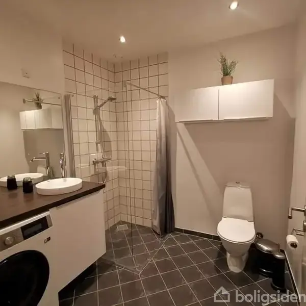 Et moderne badeværelse med vaskemaskine og vask på en bordplade. En bruser i hjørnet med et forhæng og toilet ved siden af. Fliser på vægge og gulv.