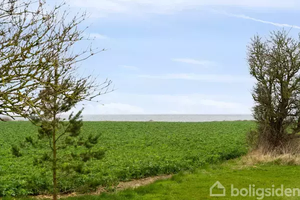 Et grønt mark strækker sig mod en horisont af blå himmel og hav, flankeret af to træer på hver side.