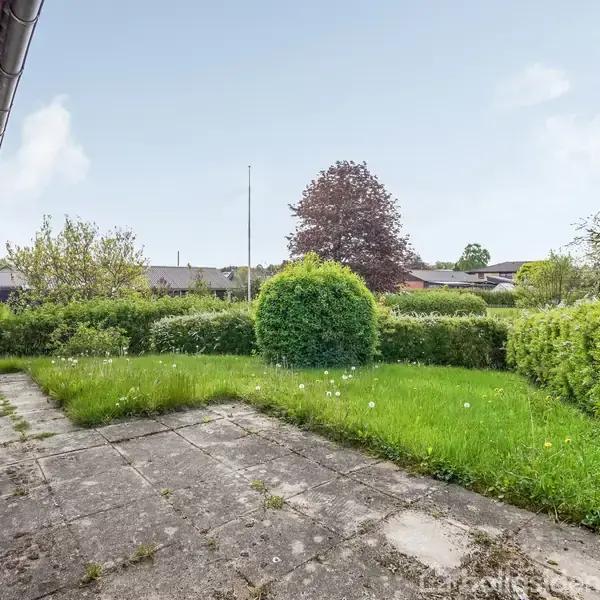 Terrasse med flisebelægning grænser op til græsplæne med buske og træer. Omkringliggende område er en have med diverse beplantning, omgivet af hække og et hus til venstre.
