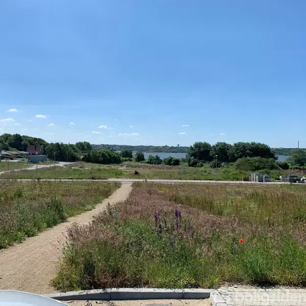En grussti snor sig gennem en grønt græsareal med vilde blomster, mens huse og buske ses i baggrunden, med udsigt til en sø, under en klar blå himmel.
