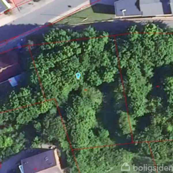 Luftfoto viser et grønt, skovklædt område med tydelige grænser markeret i rødt. Omkringliggende bygninger ses øverst og nederst i billedet, mens en vej løber parallelt øverst.