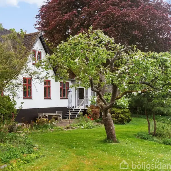 Et hvidt hus med røde vinduer står omkranset af grøn vegetation. En blomstrende træ i haven giver skygge, mens græsplænen breder sig omkring.