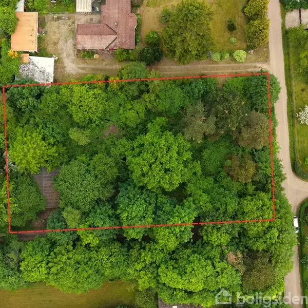 En tætbevokset grund omkranset af en rød streg på en luftfoto. Grunden er beliggende i et boligområde med flere omkringliggende huse og veje.