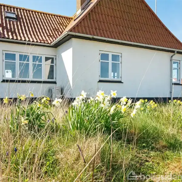 Et hvidt hus med rødt tegltag står stille i en have med vilde græsser og blomstrende påskeliljer under en klar blå himmel.