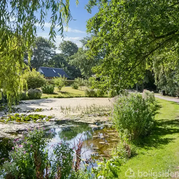 Dam med stillestående vand omgivet af frodige grønne træer og planter. I baggrunden ses et hus med mørkt tag. Grussti løber langs siden af dammen under blå himmel.