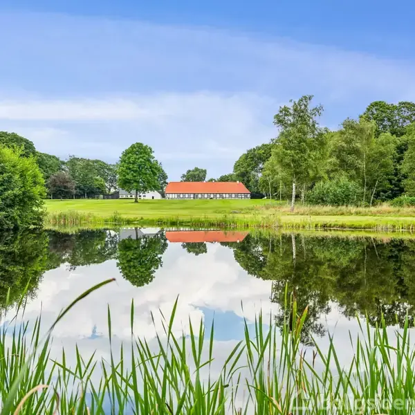En stor bygning med rødt tag og hvide vægge spejler sig i en stille sø, omgivet af grønne træer og en blå himmel, foran siv og græs.