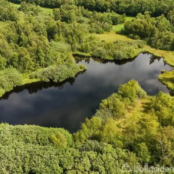Sø omgivet af tæt skovlandskab reflekterer den klare himmel, mens forskellige grønne nuancer skaber en frodig, naturlig atmosfære.