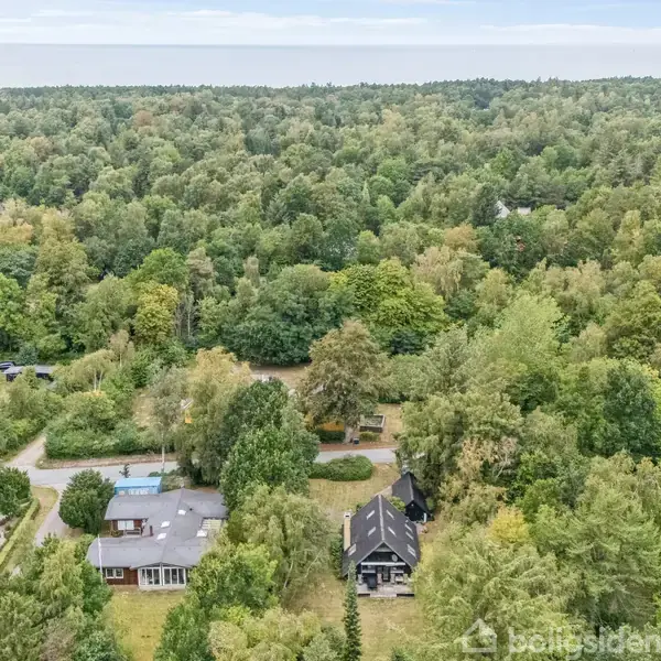 Billede viser to huse omgivet af tæt skov. Havestier forbinder dem, og omgivelserne præges af frodig vegetation. Et af husene har en pool i nærheden.