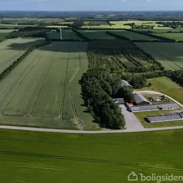 Landbrugsanlæg i landskab med marker. Bygningerne ligger i en klynge omgivet af træer, mens markerne strækker sig ud mod horisonten under en blå himmel.