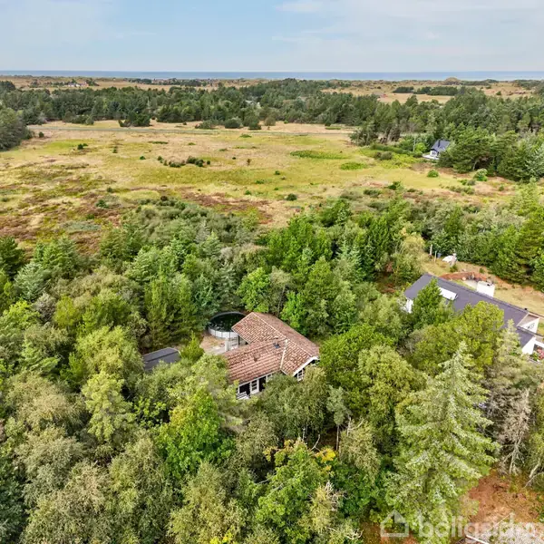 Hus omkranset af tæt skovområde, med fladt landskab og spredte træer i baggrunden. Taget er rødt og omgivelserne er frodige, med en blanding af åbne marker og skovbevoksning.