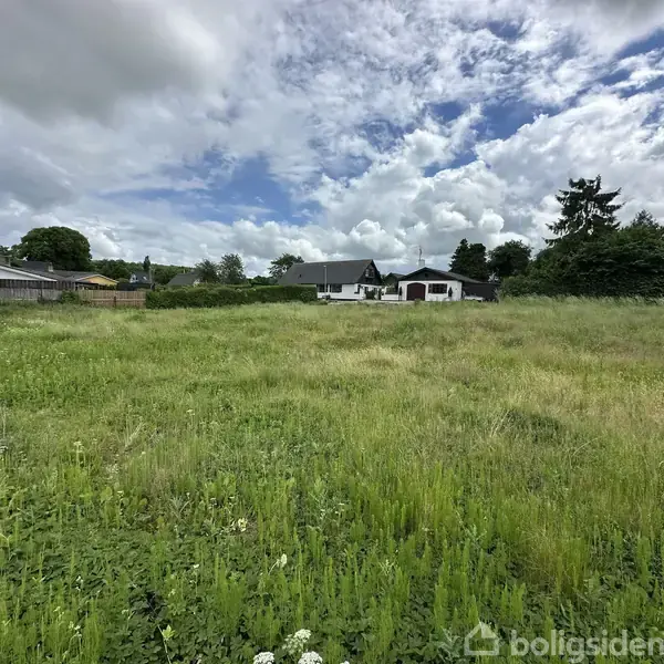 Græsmark med højt græs strækker sig ud i forgrunden. I baggrunden ses et hus omgivet af buske og træer under en delvist skyet blå himmel.