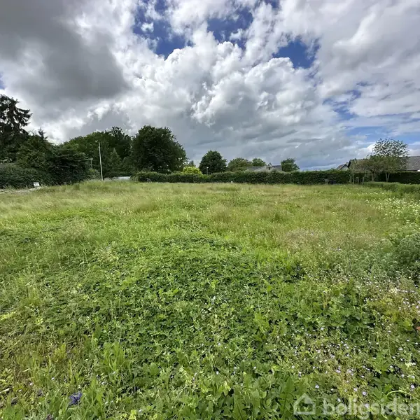 Græsmark med vilde blomster spreder sig under en skyet himmel. Træer og buske omkranser området, skaber en fredelig atmosfære.