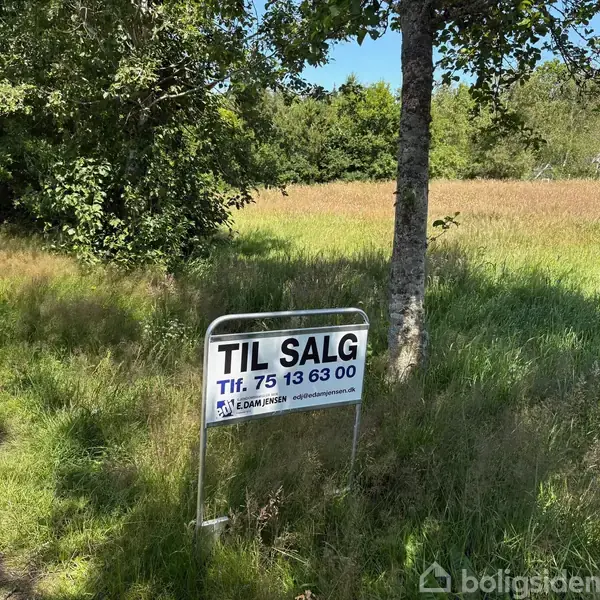 Skilt står på en græsmark, annoncerer "TIL SALG" med telefonnummer 75 13 63 00. Træer og hus ses i baggrunden.