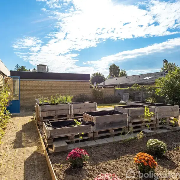 Flere plantekasser lavet af træpaller står i en solrig have omgivet af en murstensbygning og fliser. Blomster og buske gror ved siden af. Himlen er klar med skyer.