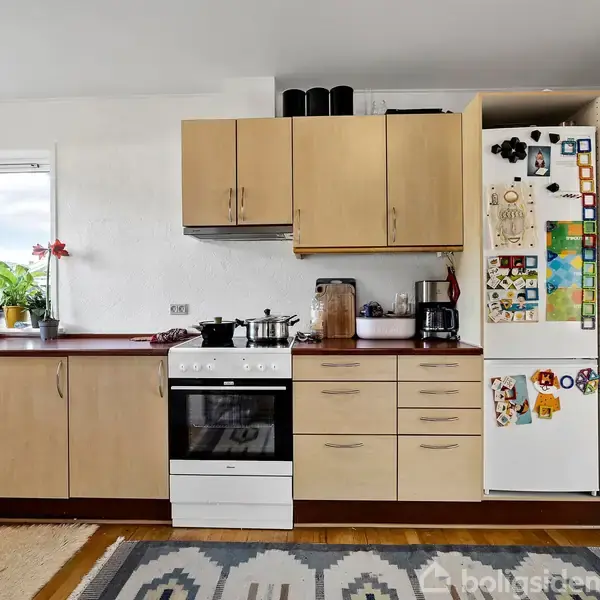 Køkkenskabe i træ står langs en væg med en komfur og indbygget ovn. Et køleskab er dekoreret med magneter. Grønne planter står ved vinduet, og tæppet ligger på gulvet.