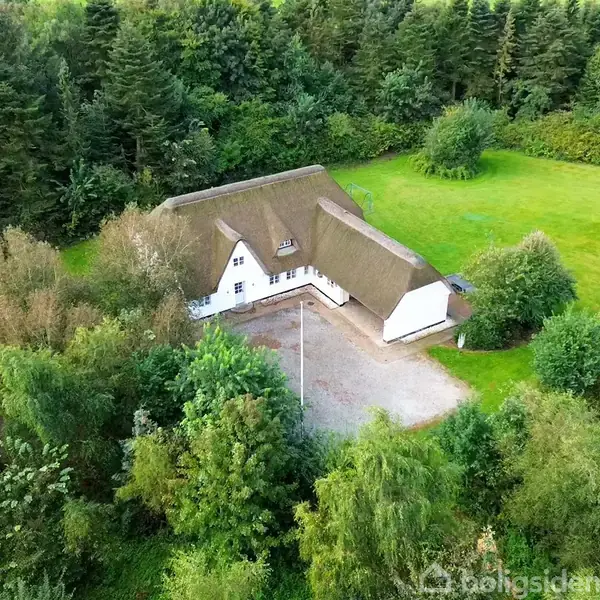 Et hvidt, stråtækt hus ligger stille omgivet af et frodigt, grønt skovområde. En grusvej fører til huset, der er omkranset af tætte træer.