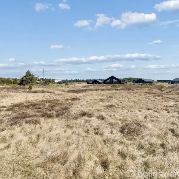 Græsmark strækker sig under en klar himmel med pletter af skyer; nogle få træer og flere mørke tagkonstruktioner ses i baggrunden. Ingen tekst tilstede.