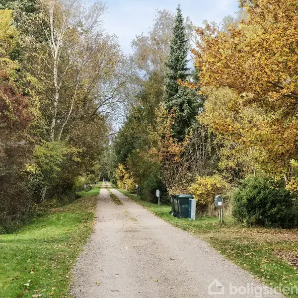 En grusvej strækker sig gennem en skovklædt område med træer i efterårsfarver på begge sider, omgivet af grønt græs og buske, der giver en rolig, naturskøn atmosfære.