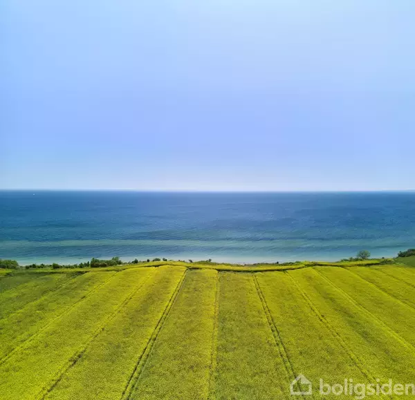 En stor gul mark strækker sig ud mod en stille blå havhorisont. Himlen er klar og blå over landskabet.