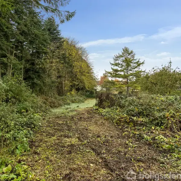 En naturlig sti strækker sig gennem tæt skov, kantet af grønne buske og træer. Sollys skinner svagt gennem bladene, mens en klar blå himmel danner baggrunden.