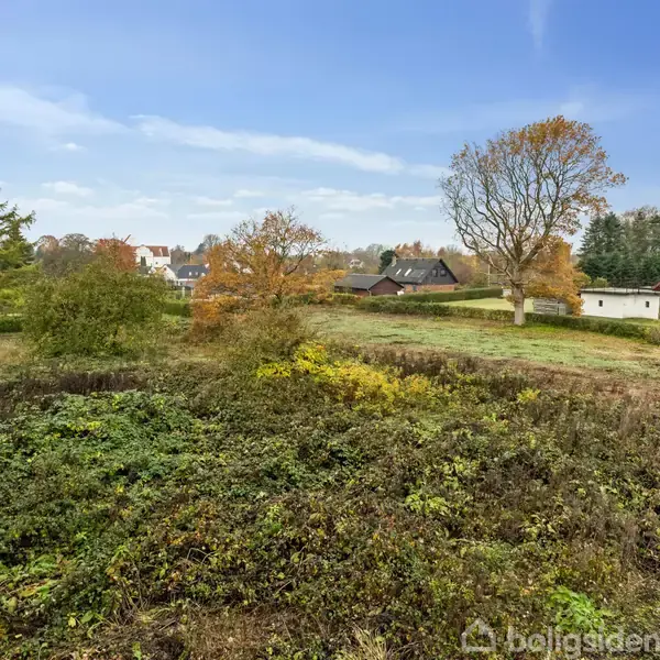 En stor, åben grund er dækket af planter og buske, med enkelte træer omkranser området. Baggrunden viser flere huse og en skovkant under en blå himmel.