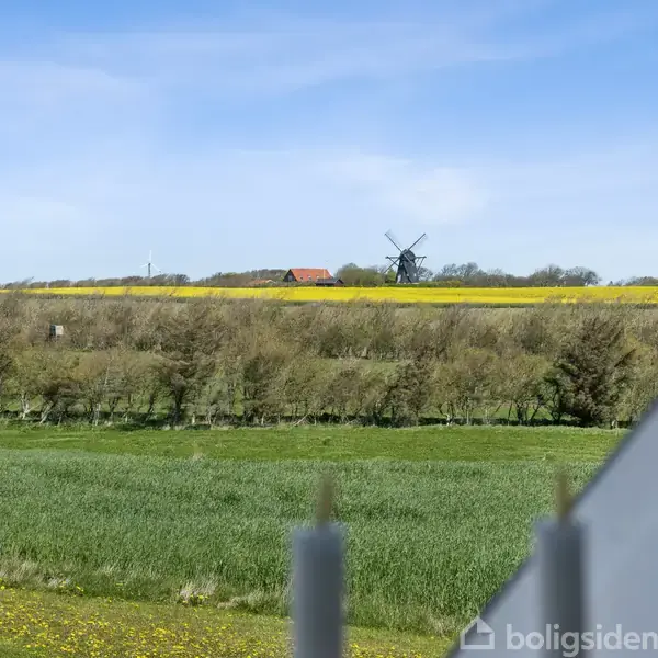 En vindmølle står stille på en bakke i en landlig scene med marker og en blå himmel. Gul raps blomstrer i forgrunden nær en bygning.