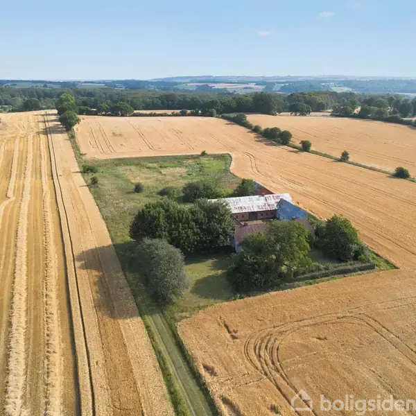 En hvid bygning står stille omgivet af grønne træer midt i en stor, gylden kornmark. Landskabet strækker sig vidt under en blå himmel med lette skyer.