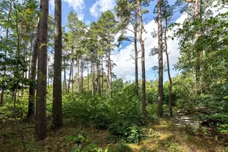 Fritidsgrund på Lyngbakkevej 6, Fuglslev, 8400 Ebeltoft