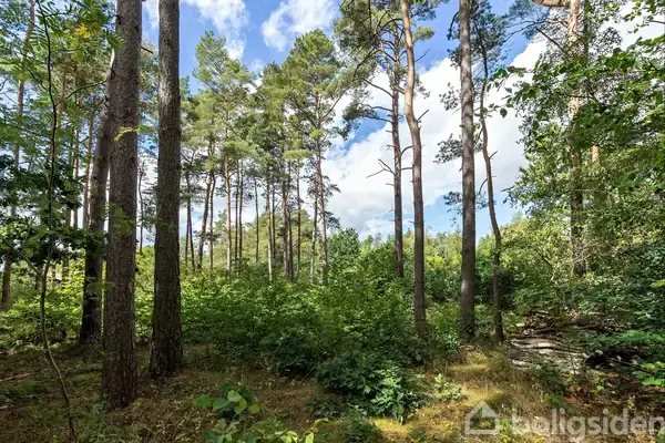 Fritidsgrund på Lyngbakkevej 6, 8400 Ebeltoft