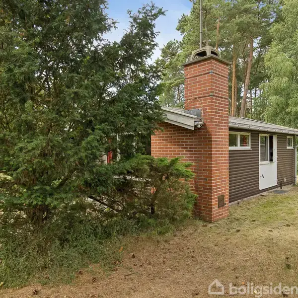 Et lille, mørkt træhus med en rød murstensskorsten ligger i en skovklædt have. Huset er omgivet af træer og en græsplæne.