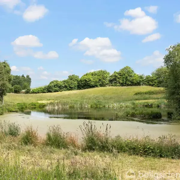 En rolig sø omgivet af grønne græsmarker og træer under en blå himmel med spredte hvide skyer. Vandet i søen er stille, indrammet af naturlig vegetation.