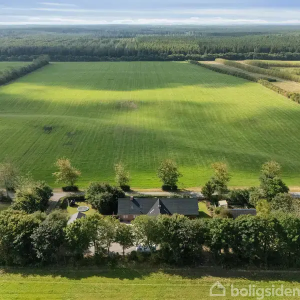 En gård omgivet af træer står midt i et stort, grønt landskab med åbne marker og skove i horisonten. En landevej løber forbi gården.