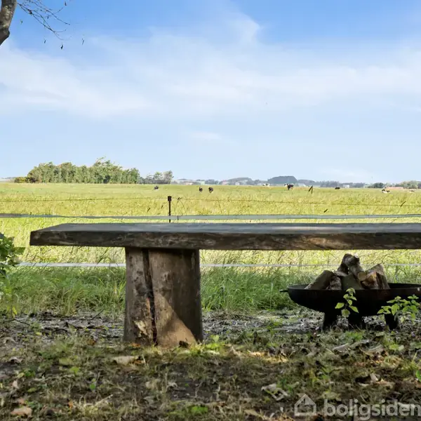 En træbænk står stille ved siden af et træ med en metalskål fyldt med brænde foran. Den grønne mark strækker sig ud i horisonten under en lys blå himmel.