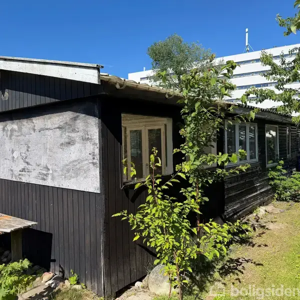 Et sort træhus står i en have med frodige buske og træer omkring. I baggrunden ses en større bygning. Huset har vinduer på siden og en slidt facade.