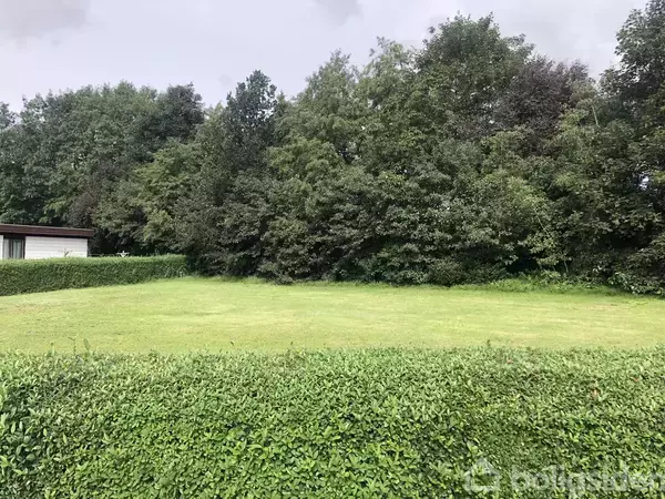 En grøn græsplæne omgivet af en lav hæk står foran en tæt befolket skov. En hvid bygning ses i baggrunden til venstre.