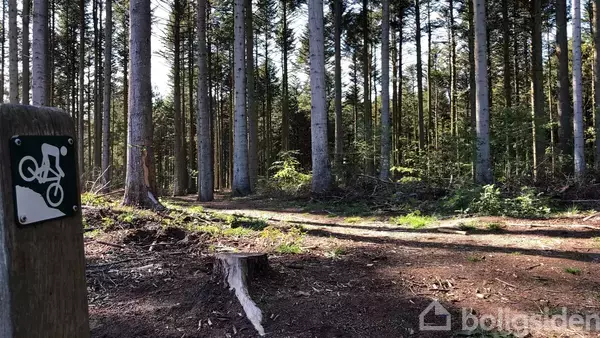 Et skilt med et cykelsymbol er placeret i en skov ved siden af en sti omgivet af høje træer og let undervegetation.