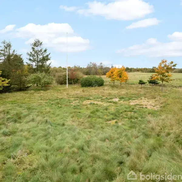 Grønt græs strækker sig over en åben mark med spredte, farverige træer, omgivet af buske og skove. I baggrunden ses en klar blå himmel med få skyer.