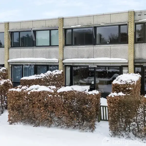 Rækkehuse ligger i et snedækket område, indrammet af hækkede buske. Vinduerne på husene er store, og der ses et sneklædt hegn foran.