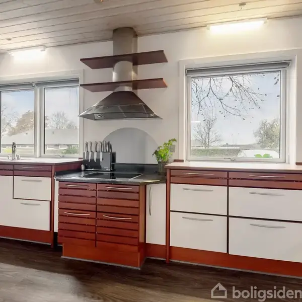 Køkken med røde og hvide skabe, ovn i midten under emhætte. To vinduer giver udsigt til træer. Sort knivblok på bordet og elkedel til højre.