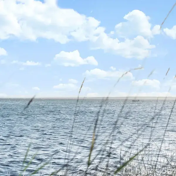 Hav med krusninger, stille bevægelse, omgivet af himmel med hvide skyer og siv i forgrunden.