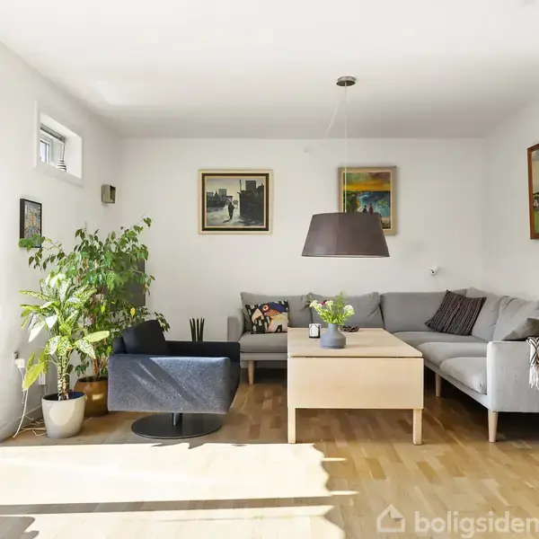 En stue med en grå hjørnesofa og sort stol, står omkring et lysebrunt sofabord. Væggene har malerier. Store planter ved et åbent vindue bringer lys ind i rummet.